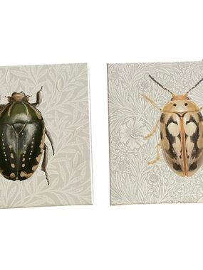 Stupell Industries Beetle Portrait & Floral Wall Art Set of Two by Danhui Nai